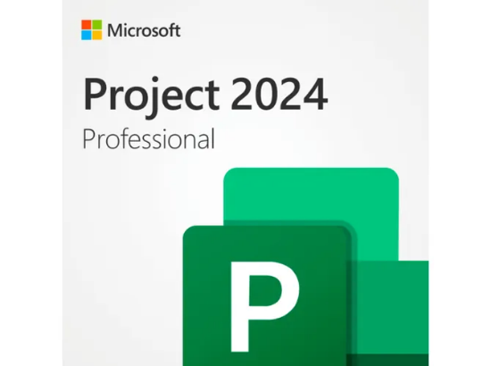 Imagem de Microsoft Project Professional 2024 - Licença Oficial Multilíngue EP2-07001